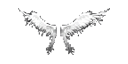 Small Wings of Heaven