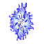 Elven Shield
